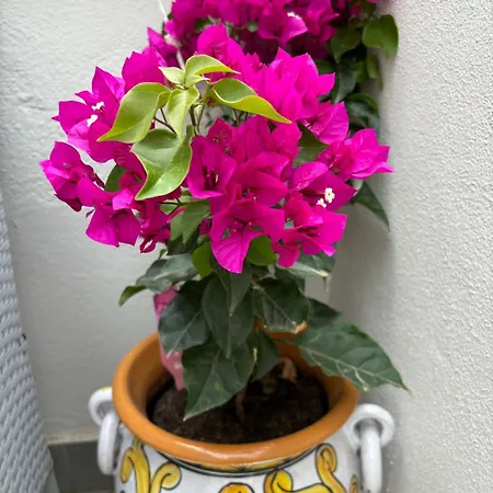 Strettomare-business & Travel 레조디칼라브리아