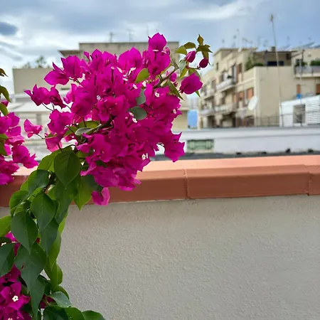 Apartman Strettomare-business & Travel *