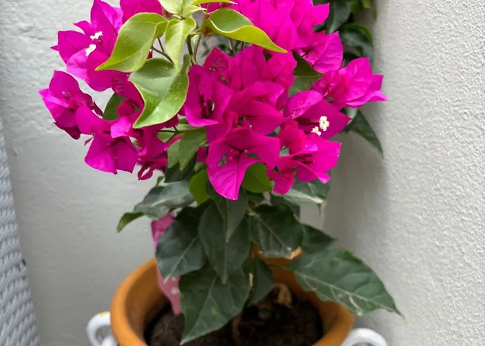 Strettomare-business & Travel Reggio di Calabria